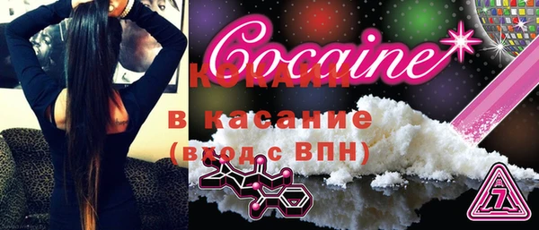 шишки Абинск