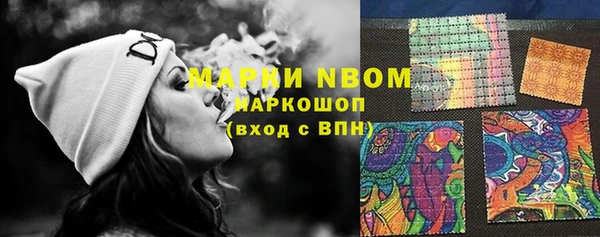 шишки Абинск