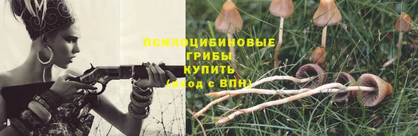 шишки Абинск