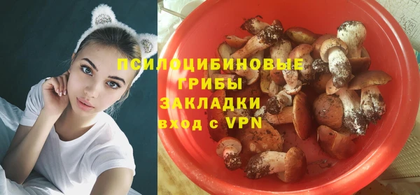 spice Абдулино
