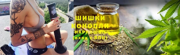 шишки Абинск