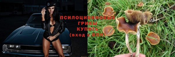 spice Абдулино