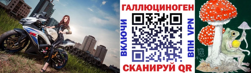 Псилоцибиновые грибы GOLDEN TEACHER  закладка  Сусуман 
