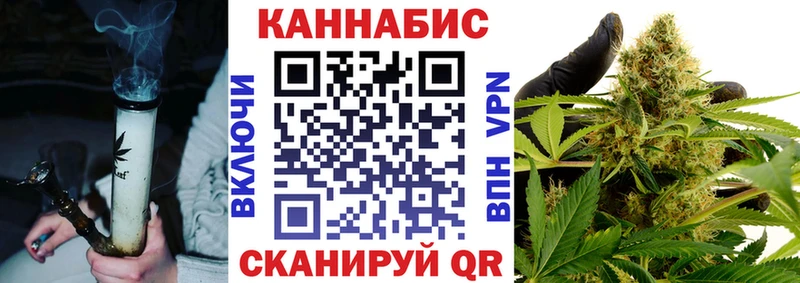 Конопля SATIVA & INDICA  Сусуман 